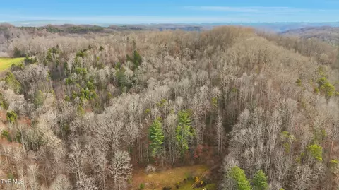tbd River Lane Coeburn Va 24230, Coeburn, VA 24230 photo 4