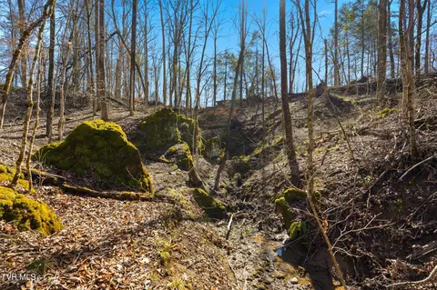 597 Cavern Road Bristol Tn 37620, Bristol, TN 37620 photo 12