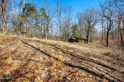 597 Cavern Road Bristol Tn 37620, Bristol, TN 37620 photo 8