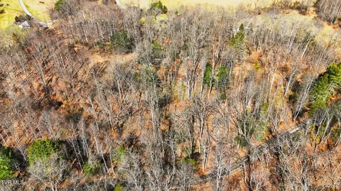 597 Cavern Road Bristol Tn 37620, Bristol, TN 37620 photo 18