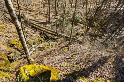 597 Cavern Road Bristol Tn 37620, Bristol, TN 37620 photo 11