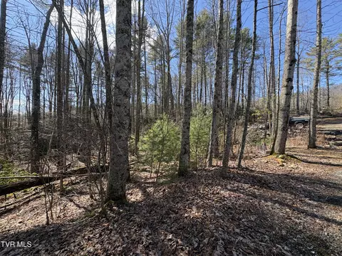 lot30 Gene Drive Butler Tn 37640, Butler, TN 37640