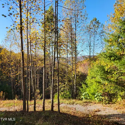 129 Oaks Road Unicoi Tn 37692, Unicoi, TN 37692