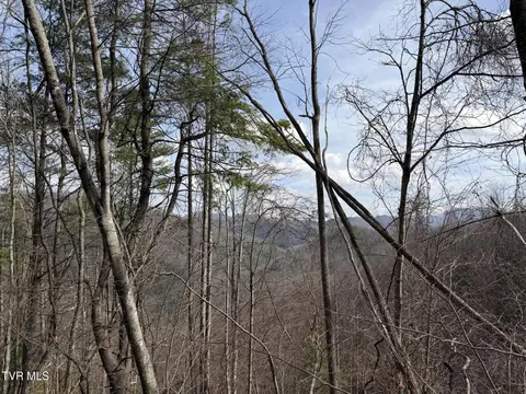 tbd Highway 421 Mountain City Tn 37683, Mountain City, TN 37683