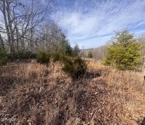 tbd Jones Circle Unicoi Tn 37692, Unicoi, TN 37692