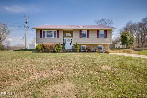 145 Morgan Lane Fall Branch Tn 37656, Fall Branch, TN 37656