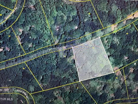 tbd Banjo Ridge Road 39 Butler Tn 37640, Butler, TN 37640