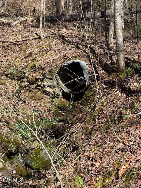 tbd Spivey Mountain Road Erwin Tn 37650, Erwin, TN 37650