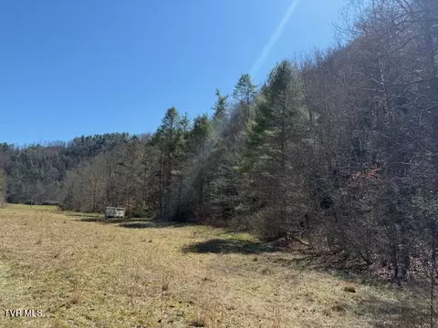 tbd Willis Cove Road Road Erwin Tn 37650, Erwin, TN 37650 photo 12