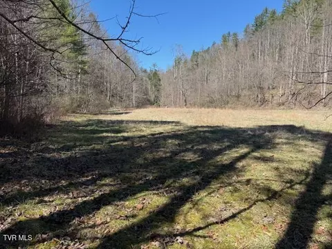 tbd Willis Cove Road Road Erwin Tn 37650, Erwin, TN 37650 photo 4
