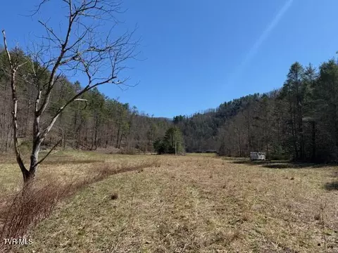 tbd Willis Cove Road Road Erwin Tn 37650, Erwin, TN 37650 photo 8