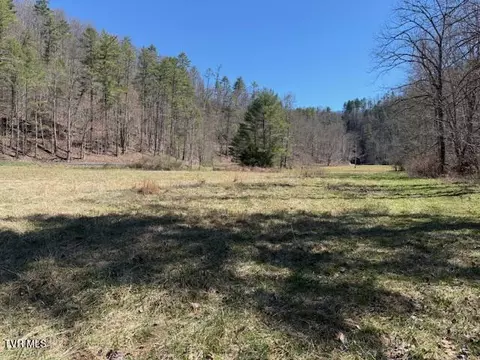 tbd Willis Cove Road Road Erwin Tn 37650, Erwin, TN 37650