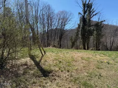 133 Haines Road Erwin Tn 37650, Erwin, TN 37650 photo 4