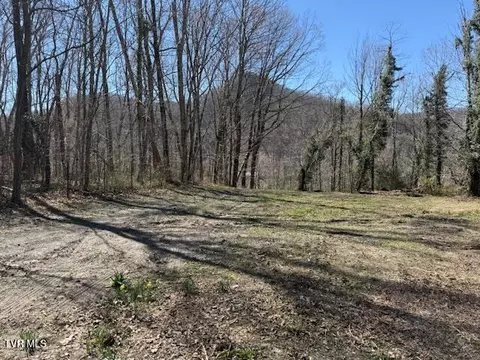 133 Haines Road Erwin Tn 37650, Erwin, TN 37650 photo 6