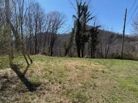 133 Haines Road Erwin Tn 37650, Erwin, TN 37650 photo 5