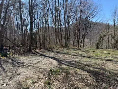 133 Haines Road Erwin Tn 37650, Erwin, TN 37650 photo 7
