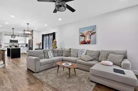 Living - 1610 E Millard Street Johnson City Tn 37601, Johnson City, TN 37601 photo 1 of 2