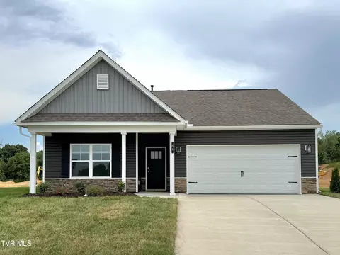64 Ollie Street Johnson City Tn 37615, Johnson City, TN 37615