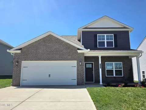 113 Wisteria Drive Bluff City Tn 37618, Bluff City, TN 37618