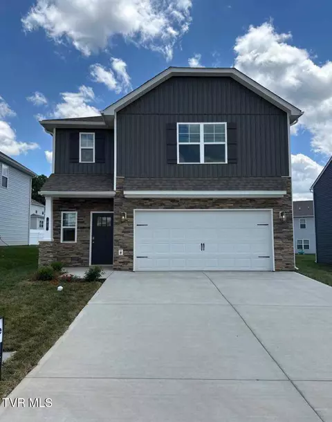 95 Wisteria Drive Bluff City Tn 37618, Bluff City, TN 37618