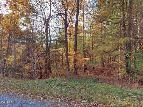 lot19 Sugar Maple Way Del Rio Tn 37727, Del Rio, TN 37727