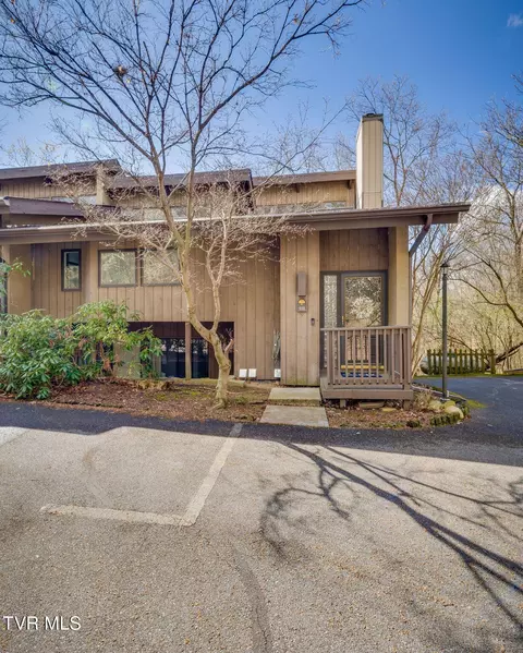 111 Tree Top Lane 111 Johnson City Tn 37601, Johnson City, TN 37601