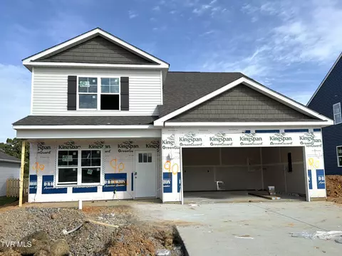 78 Ollie Street Johnson City Tn 37615, Johnson City, TN 37615