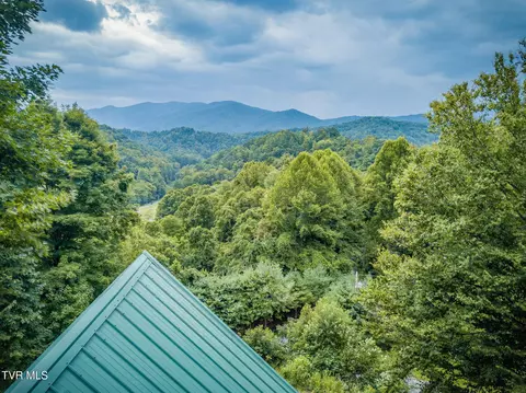 Other - 107 Deer Run Drive Flag Pond Tn 37657, Flag Pond, TN 37657 photo 11 of 22
