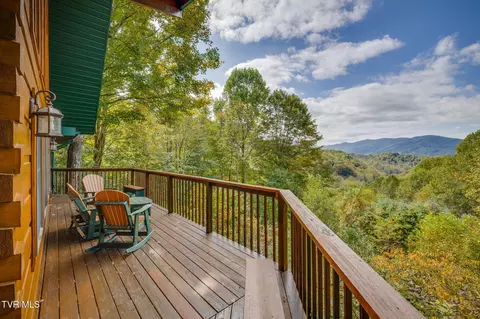 Exterior - 107 Deer Run Drive Flag Pond Tn 37657, Flag Pond, TN 37657 photo 12 of 19