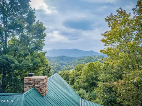 Other - 107 Deer Run Drive Flag Pond Tn 37657, Flag Pond, TN 37657 photo 10 of 22