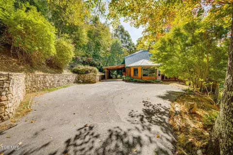 Exterior - 107 Deer Run Drive Flag Pond Tn 37657, Flag Pond, TN 37657 photo 4 of 19