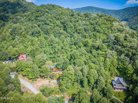 View/Area - 107 Deer Run Drive Flag Pond Tn 37657, Flag Pond, TN 37657 photo 1 of 4