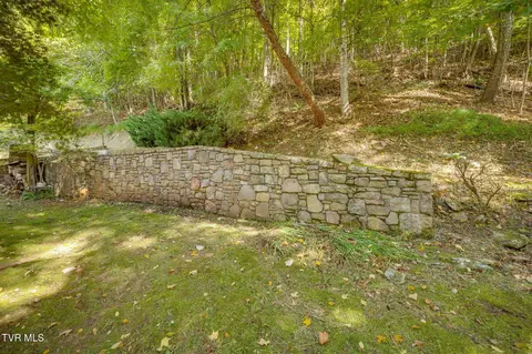 Exterior - 107 Deer Run Drive Flag Pond Tn 37657, Flag Pond, TN 37657 photo 9 of 19