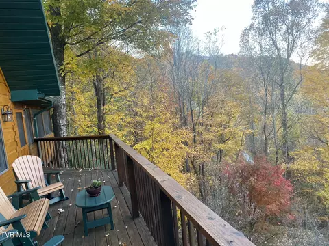 Exterior - 107 Deer Run Drive Flag Pond Tn 37657, Flag Pond, TN 37657 photo 18 of 19