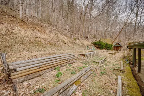 Exterior - 107 Deer Run Drive Flag Pond Tn 37657, Flag Pond, TN 37657 photo 17 of 19