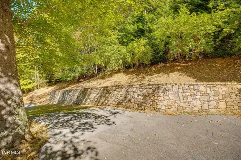 Exterior - 107 Deer Run Drive Flag Pond Tn 37657, Flag Pond, TN 37657 photo 5 of 19