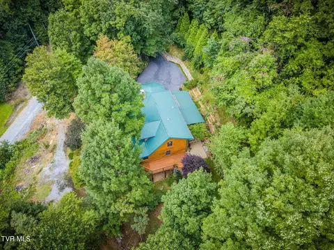 View/Area - 107 Deer Run Drive Flag Pond Tn 37657, Flag Pond, TN 37657 photo 4 of 4