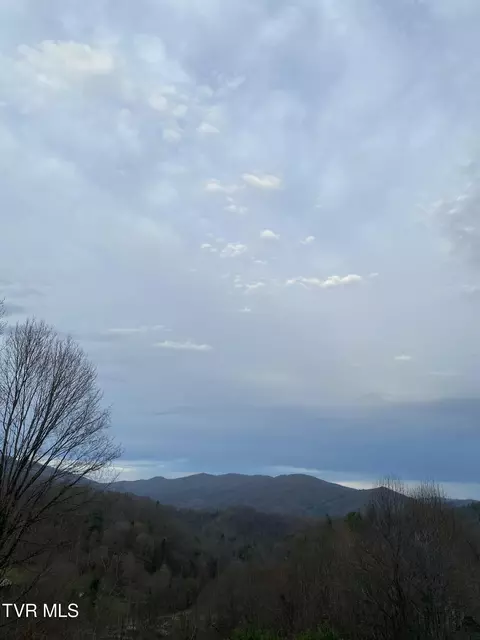 Other - 107 Deer Run Drive Flag Pond Tn 37657, Flag Pond, TN 37657 photo 18 of 22
