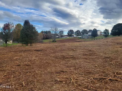 1212 Bowmantown Road Limestone Tn 37681, Limestone, TN 37681