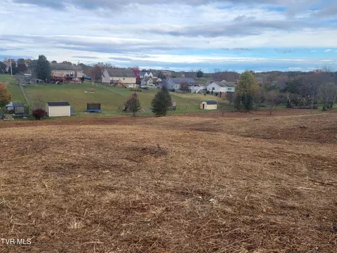 1216 Bowmantown Road Limestone Tn 37681, Limestone, TN 37681