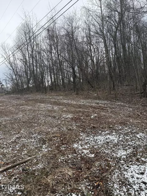00 S Waterfork South Road Greeneville Tn 37743, Greeneville, TN 37743
