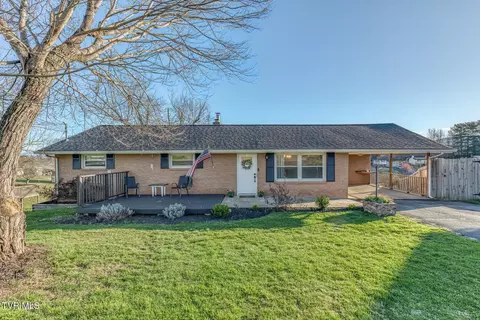 315 Piercy Street Blountville Tn 37617, Blountville, TN 37617