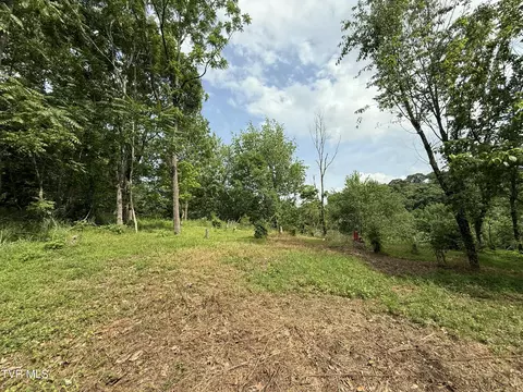 3 Charles Johnson Road, Chuckey, TN 37641