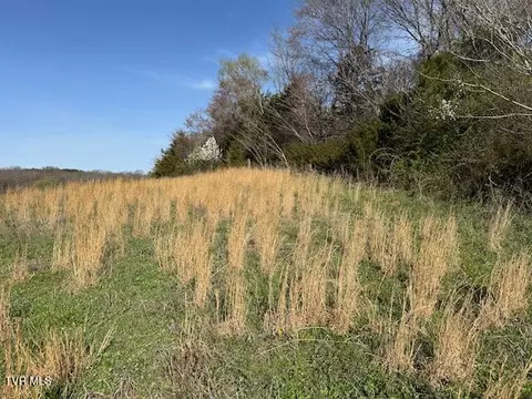 lot2 Mcdonald Road Midway Tn 37809, Midway, TN 37809 photo 7