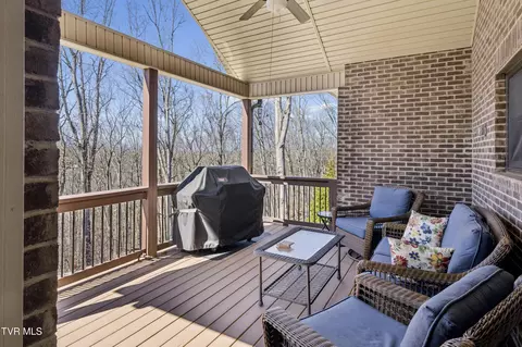 Exterior - 1148 Cliffview Circle Gray Tn 37615, Gray, TN 37615 photo 4 of 20