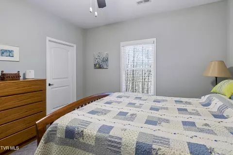 Bedroom - 1148 Cliffview Circle Gray Tn 37615, Gray, TN 37615 photo 8 of 9
