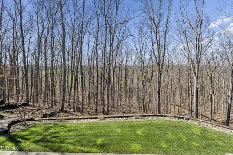 Exterior - 1148 Cliffview Circle Gray Tn 37615, Gray, TN 37615 photo 6 of 20