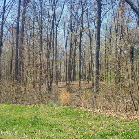 lot136 Tumbleweed Trail Rutledge Tn 37861, Rutledge, TN 37861