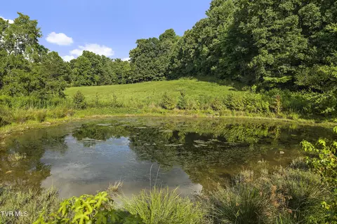Exterior - 131 Brown Drive Chuckey Tn 37641, Chuckey, TN 37641 photo 10 of 20