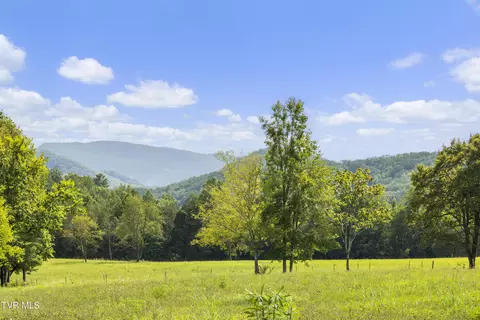 Other - 131 Brown Drive Chuckey Tn 37641, Chuckey, TN 37641 photo 29 of 37